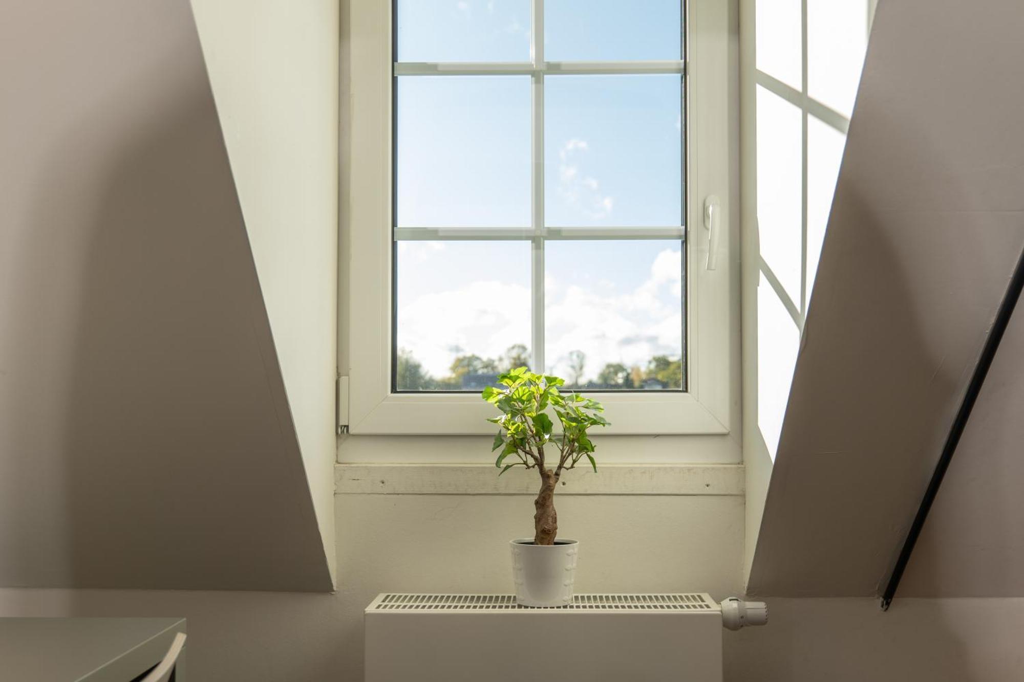 Haus Overbach Jülich المظهر الخارجي الصورة